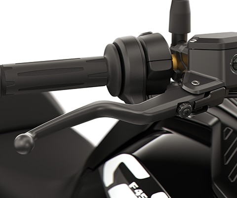 BMW Motorrad F 450 GS의 조정식 핸드 레버