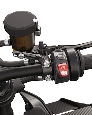 BMW Motorrad M 1000 R의 M 퀵 액션 스로틀 그립